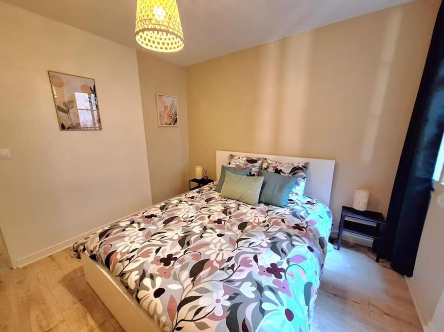 Apartment T2 Cosy 35 M2- Centre Historique Besancon